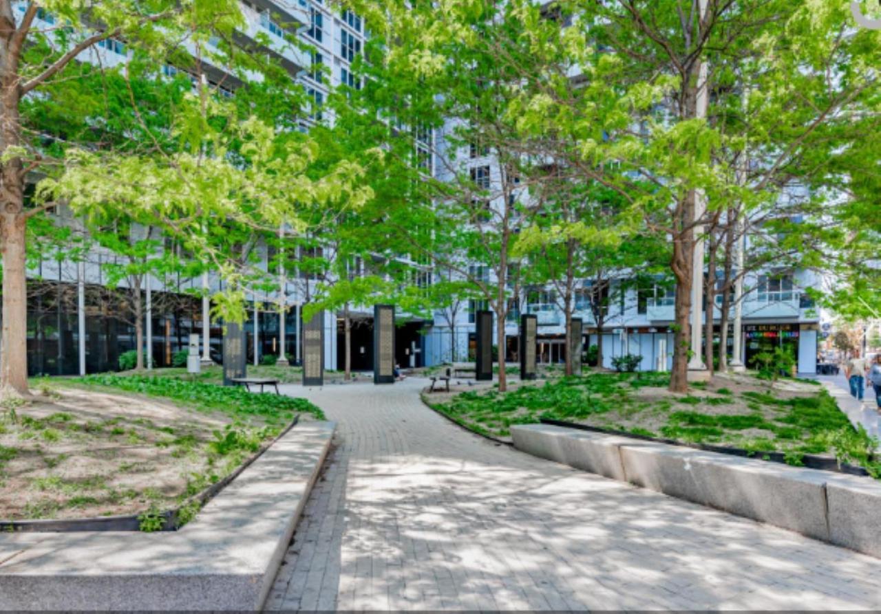 Executive 2 Beds Near Cn Tower, Rogers Centre, Scotia Area, Business District, Entertainment District, Lakeshore トロント エクステリア 写真